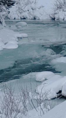 Twisp River 2022.gif (16.39 MiB) Viewed 46370 times Twisp River 05 January 2022