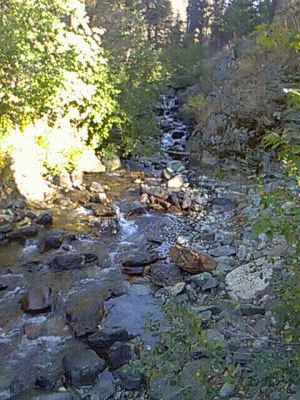 gilbert_creek.gif (59.77 MiB) Viewed 84936 times Gilbert Mountain North Creek Trail