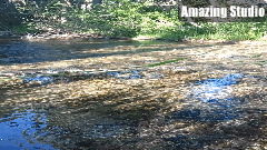 Twisp River Cabin yard.gif